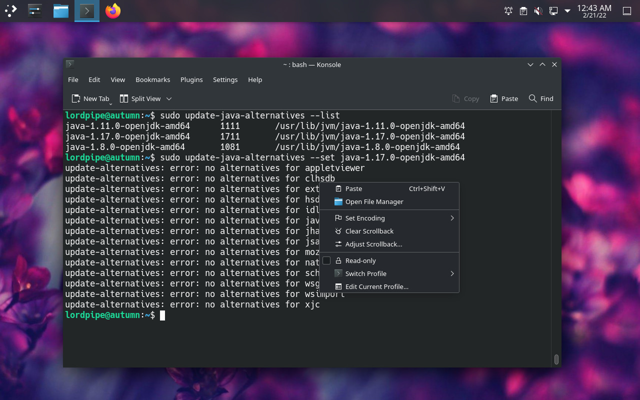 Terminal with Java alternatives command executed